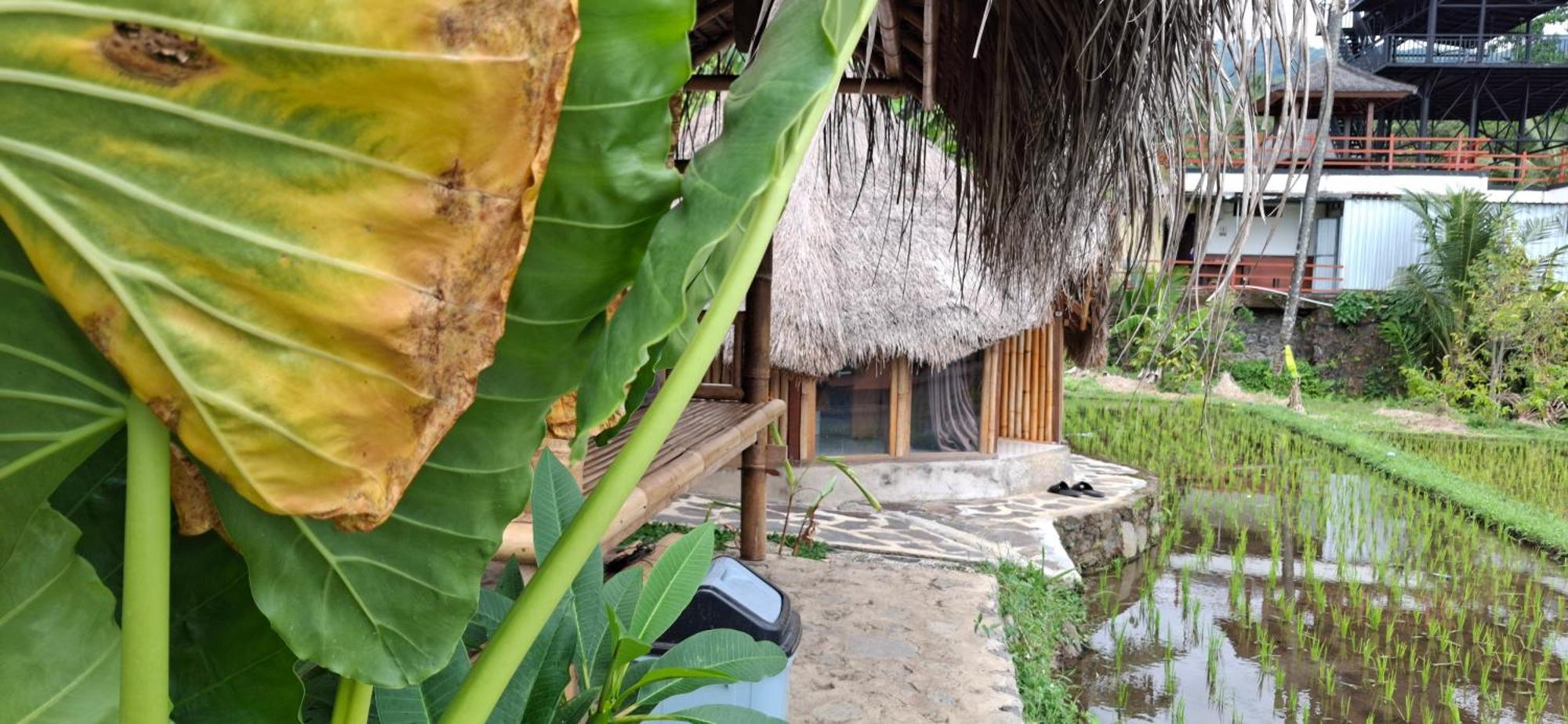 Uma Nirmala Aling-Aling Hotel Singaraja  Exterior photo