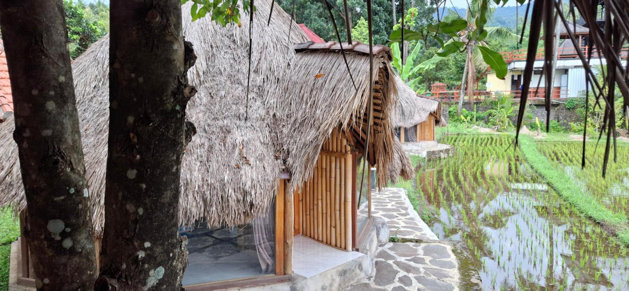 Uma Nirmala Aling-Aling Hotel Singaraja  Exterior photo